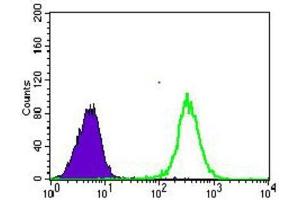 Flow Cytometry (FACS) image for anti-Solute Carrier Family 2 (Facilitated Glucose Transporter), Member 4 (SLC2A4) (AA 224-353) antibody (ABIN1846354)