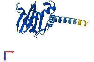 AlphaFold protein structure predicition of Human Recombinant AP1S3 Protein, UniprotID Q96PC3