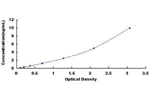 Typical standard curve (WNT4 Kit ELISA)