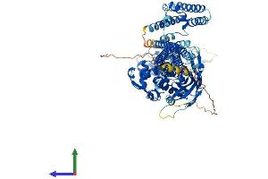 AlphaFold protein structure predicition of Mouse Recombinant Stat5a Protein, UniprotID P42230