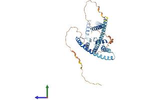 AlphaFold protein structure predicition of Mouse Recombinant Kcnk4 Protein, UniprotID O88454