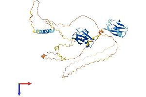 AlphaFold protein structure predicition of Human Recombinant NFATC2IP Protein, UniprotID Q8NCF5