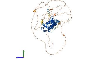 AlphaFold protein structure predicition of Human Recombinant ARHGAP44 Protein, UniprotID Q17R89