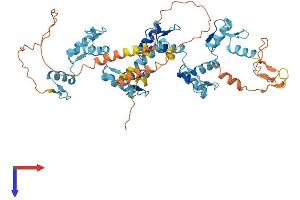 AlphaFold protein structure predicition of Human Recombinant ZNF155 Protein, UniprotID Q12901
