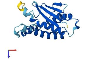 AlphaFold protein structure predicition of Mouse Recombinant Trappc6b Protein, UniprotID Q9D289