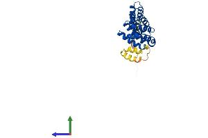 AlphaFold protein structure predicition of Mouse Recombinant Mro Protein, UniprotID Q7TNB4
