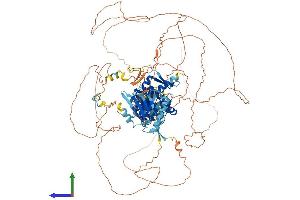 AlphaFold protein structure predicition of Human Recombinant SENP7 Protein, UniprotID Q9BQF6