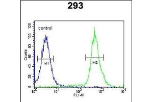 C3orf31 Antibody (Center) (ABIN651587 and ABIN2840313) flow cytometric analysis of 293 cells (right histogram) compared to a negative control cell (left histogram). (TAM41 anticorps  (AA 180-208))