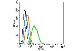 RSC96 cells probed with TrkB Polyclonal Antibody, Unconjugated  at [CNC.