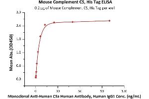 Immobilized Mouse Complement C5, His Tag (ABIN6973037) at 2 μg/mL (100 μL/well) can bind Monoclonal A C5a Human Antibody, Human IgG1 with a linear range of 0.