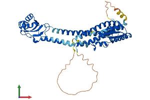 AlphaFold protein structure predicition of Human Recombinant ATP6V1C2 Protein, UniprotID Q8NEY4