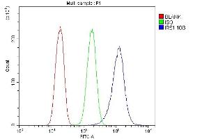 Flow Cytometry analysis of PC-3 cells using anti-IRS1 antibody (ABIN7599659). (IRS1 anticorps  (AA 1041-1242))