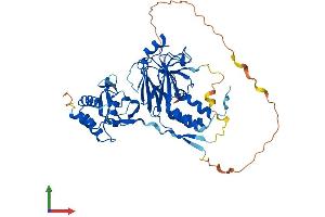 AlphaFold protein structure predicition of Human Recombinant SMAD1 Protein, UniprotID Q15797