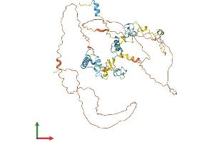 AlphaFold protein structure predicition of Human Recombinant ZCCHC7 Protein, UniprotID Q8N3Z6
