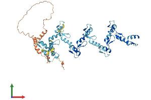 AlphaFold protein structure predicition of Human Recombinant ZNF26 Protein, UniprotID P17031