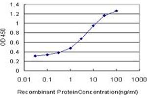 Detection limit for recombinant GST tagged NFE2L2 is approximately 0.