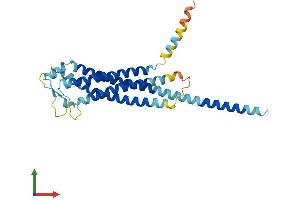 AlphaFold protein structure predicition of Mouse Recombinant Gpm6a Protein, UniprotID P35802