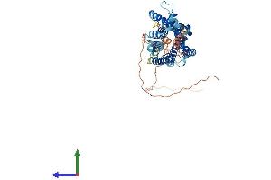 AlphaFold protein structure predicition of Mouse Recombinant Tacr3 Protein, UniprotID P47937