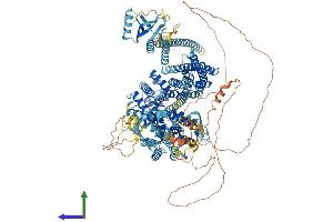 AlphaFold protein structure predicition of Human Recombinant RASGRF2 Protein, UniprotID O14827