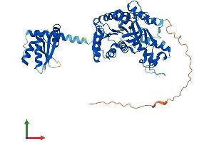 AlphaFold protein structure predicition of Human Recombinant MDH1B Protein, UniprotID Q5I0G3
