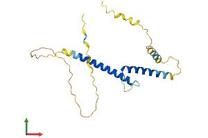 AlphaFold protein structure predicition of Human Recombinant BHLHA15 Protein, UniprotID Q7RTS1