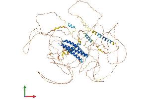 AlphaFold protein structure predicition of Mouse Recombinant Dlgap4 Protein, UniprotID B1AZP2
