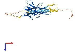 AlphaFold protein structure predicition of Mouse Recombinant Tnfsf15 Protein, UniprotID Q5UBV8