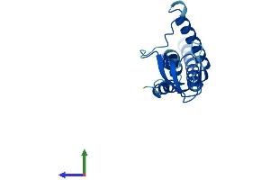 AlphaFold protein structure predicition of Mouse Recombinant Gins1 Protein, UniprotID Q9CZ15