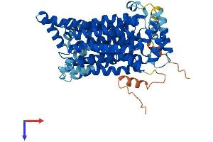 AlphaFold protein structure predicition of Human Recombinant SLC2A14 Protein, UniprotID Q8TDB8