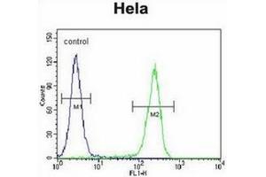 Flow cytometric analysis of Hela cells using CRFR2D Antibody (right histogram) compared to a negative control cell (left histogram).