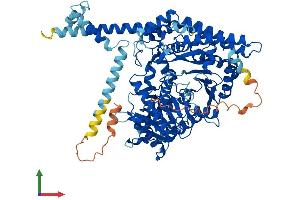 AlphaFold protein structure predicition of Human Recombinant CPT1C Protein, UniprotID Q8TCG5