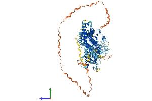 AlphaFold protein structure predicition of Human Recombinant DNM2 Protein, UniprotID P50570