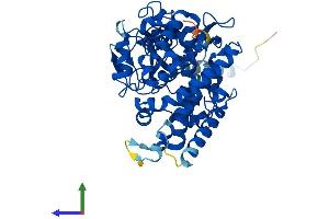 AlphaFold protein structure predicition of Human Recombinant CYP3A5 Protein, UniprotID P20815