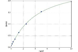 A typical standard curve