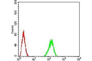 Flow cytometric analysis of Hela cells using TARDBP mouse mAb (green) and negative control (red).