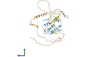 AlphaFold protein structure predicition of Human Recombinant MAZ Protein, UniprotID P56270