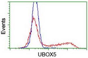 Image no. 2 for anti-U-Box Domain Containing 5 (UBOX5) (AA 1-130), (AA 419-487) antibody (ABIN1490571) (UBOX5 anticorps  (AA 1-130, AA 419-487))
