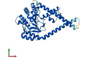 AlphaFold protein structure predicition of Human Recombinant DHDDS Protein, UniprotID Q86SQ9