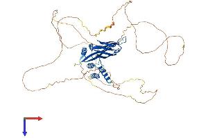 AlphaFold protein structure predicition of Mouse Recombinant Mllt3 Protein, UniprotID A2AM29