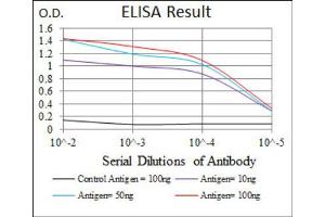 Red: Control Antigen (100ng) ; Purple: Antigen (10ng) ; Green: Antigen (50ng) ; Blue: Antigen (100ng). (MYF6 anticorps  (AA 85-150))