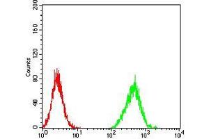 Flow cytometric analysis of Hela cells using ZFP91 mouse mAb (green) and negative control (red).
