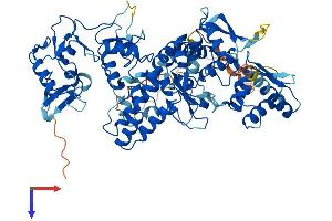 AlphaFold protein structure predicition of Human Recombinant G2E3 Protein, UniprotID Q7L622