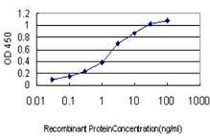 Detection limit for recombinant GST tagged FLJ23834 is approximately 0.