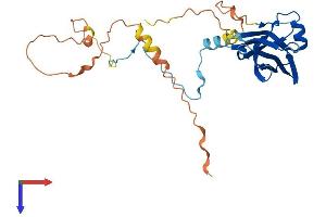 AlphaFold protein structure predicition of Mouse Recombinant Ppp1r3e Protein, UniprotID Q8BRJ4