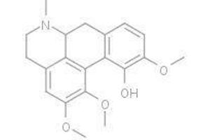 S-Isocorydine(+) (S-Isocorydine(+))