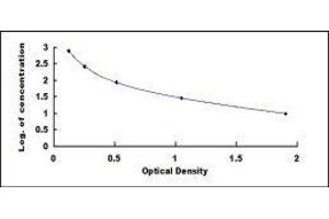 ELISA image for Parathyroid Hormone (PTH) ELISA Kit (ABIN415620)