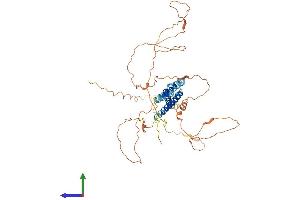 AlphaFold protein structure predicition of Human Recombinant BHLHE41 Protein, UniprotID Q9C0J9