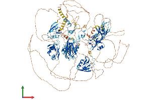 AlphaFold protein structure predicition of Human Recombinant MAGI1 Protein, UniprotID Q96QZ7