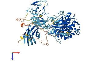 AlphaFold protein structure predicition of Human Recombinant PRKCH Protein, UniprotID P24723