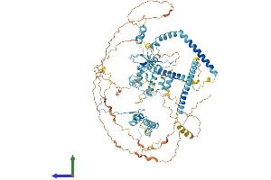 AlphaFold protein structure predicition of Human Recombinant SART1 Protein, UniprotID O43290